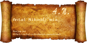 Antal Nikodémia névjegykártya